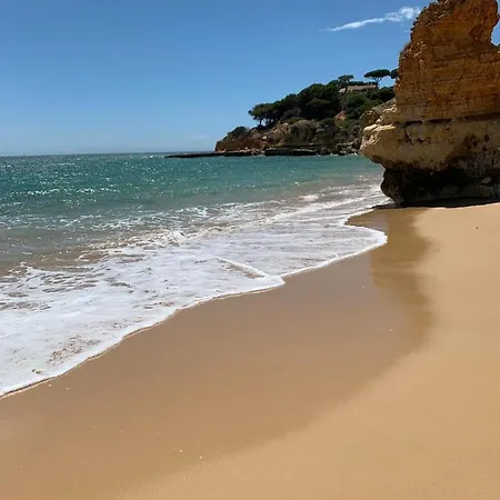 Corcovada, Sunny And Bright T1 With Large Terrace,