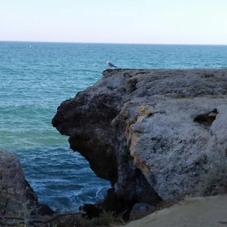 Corcovada, Sunny And Bright T1 With Large Terrace, * Albufeira